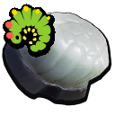Raw Caterpillar Meat